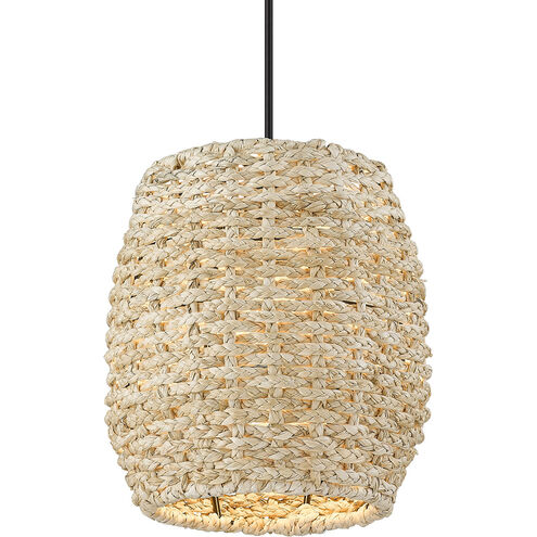 Cheyanne 1 Light 10 inch Matte Black Mini Pendant Ceiling Light